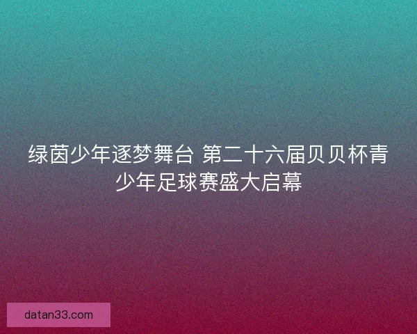 绿茵少年逐梦舞台 第二十六届贝贝杯青少年足球赛盛大启幕
