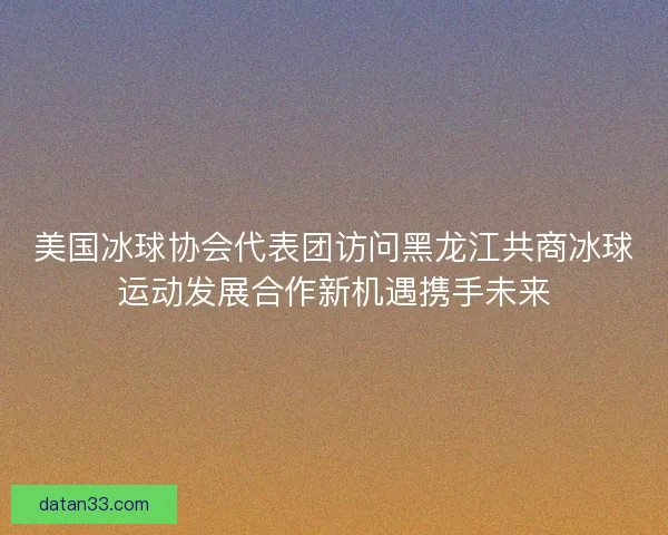 美国冰球协会代表团访问黑龙江共商冰球运动发展合作新机遇携手未来