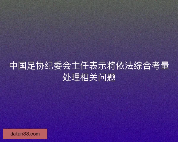 中国足协纪委会主任表示将依法综合考量处理相关问题 中国足协纪委会主任表示将依法综合考量处理相关问题